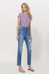 Distressed Mom Jeans- ONLINE ONLY