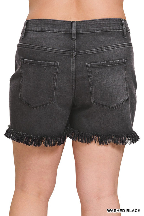 Clara Black Plus size shorts-Black